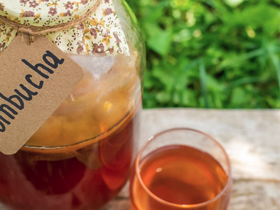 La pazienza ha un sapore antico. Perché la kombucha è la bevanda del momento?